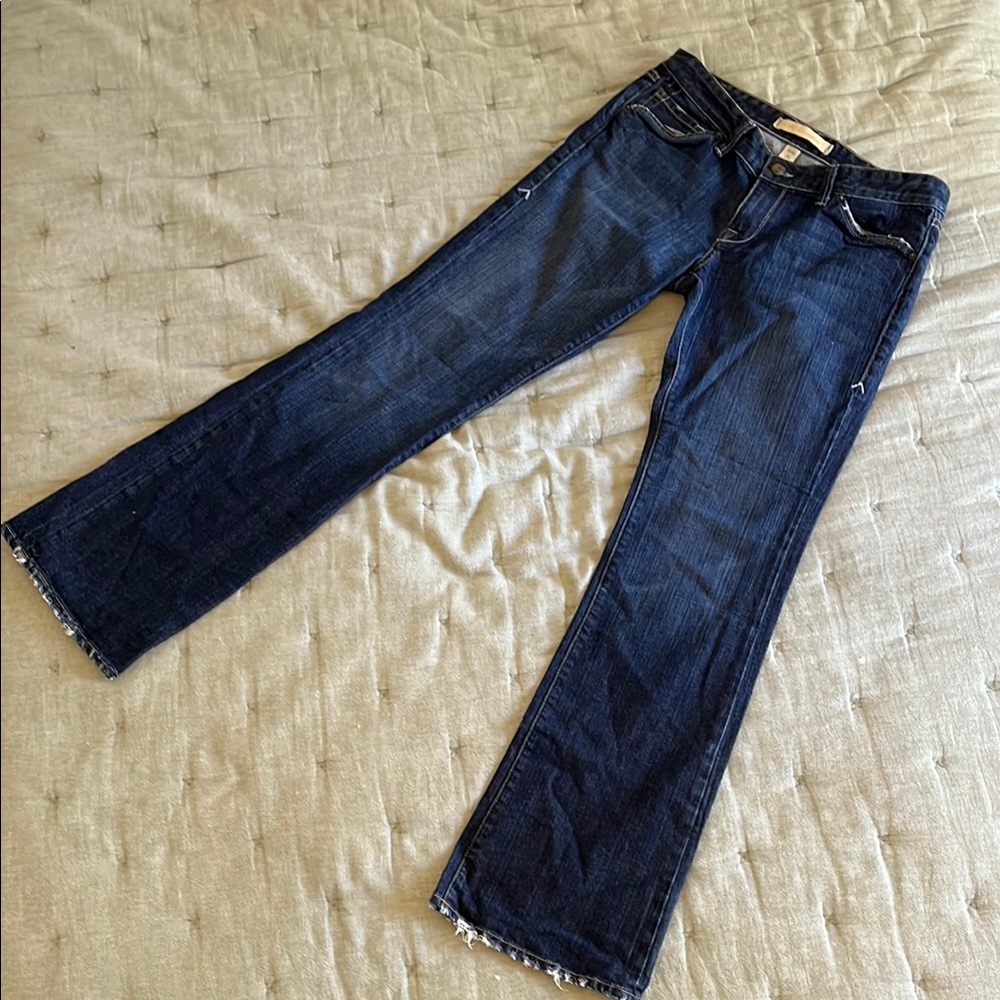 Agave Nectar flare Blue Jeans
